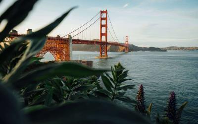 HUD  Tenant Data Collection Cycle Updates For Year 2021